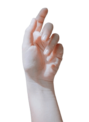 Una mano abierta, con la palma hacia arriba